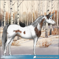 Horse Color:White Spotted Brown Splash Tobiano Frame