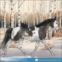 Horse Color:Brown Dun Splash Tobiano Brindle