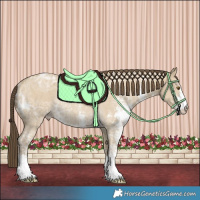 Horse Color:Classic Cream Champagne Ice Dun Sabino Rabicano