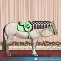 Horse Color:Classic Champagne Roan Dun Sabino Rabicano 