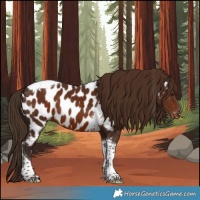 Horse Color:Liver Chestnut Tobiano Near Leopard 