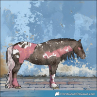 Horse Color:Watercolor White Spotted Silver Grullo  and Painted White Spotted Liver Red Dun Ice Appaloosa 