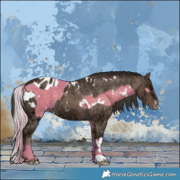 Horse Color:Watercolor White Spotted Silver Grullo  and Painted White Spotted Liver Red Dun Ice Appaloosa 