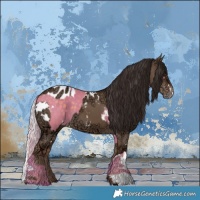 Horse Color:Watercolor White Spotted Silver Grullo  and Painted White Spotted Liver Red Dun Ice Blanket 