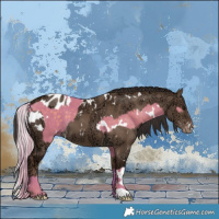 Horse Color:Watercolor White Spotted Silver Grullo  and Painted White Spotted Liver Red Dun Ice Appaloosa 