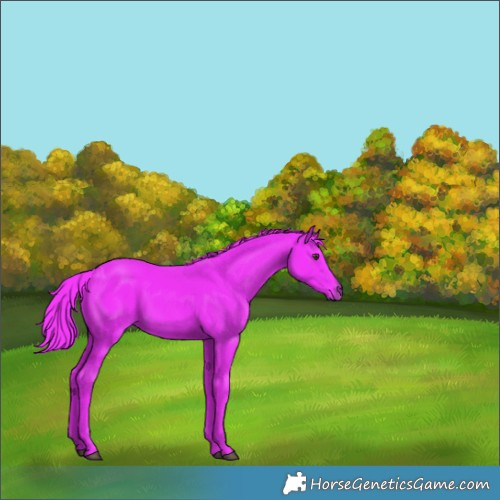 Horse Color:Watercolor Liver Chestnut 