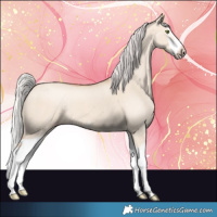 Horse Color:Silver Classic Champagne Dun Splash Frame