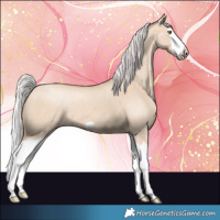 Horse Color:Silver Classic Champagne Dun Splash Frame 
