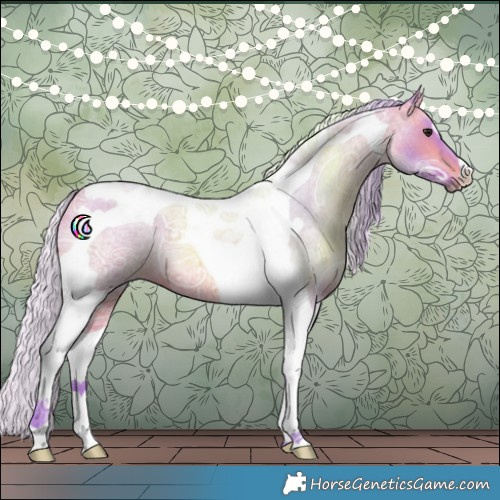 Horse Color:Watercolor Silver Bay Ice Roan Tobiano 