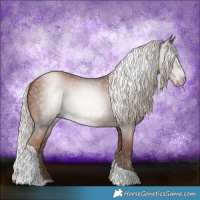 Horse Color:Gray Silver Black Pearl Tobiano