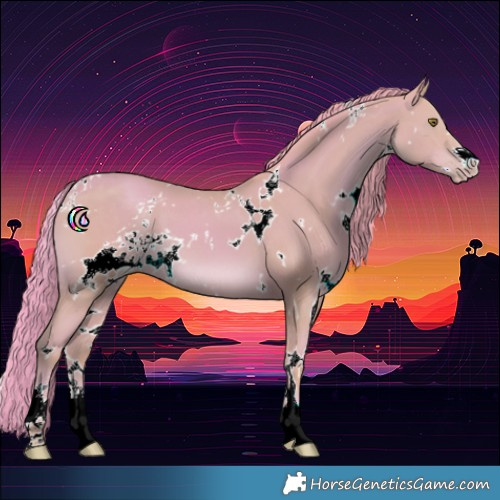 Horse Color:Watercolor White Spotted Classic Champagne 