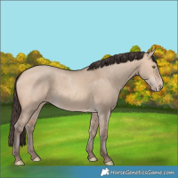 Horse Color:Amber Champagne Dun 