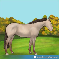 Horse Color:Amber Champagne Dun 