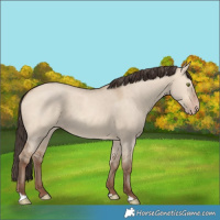 Horse Color:Amber Champagne Dun 