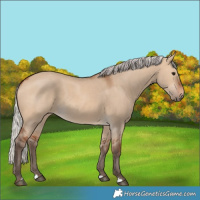 Horse Color:Silver Bay Dun 