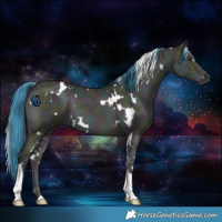 Horse Color:Watercolor White Spotted Midnight Sable Champagne Ice Onyx Tobiano 