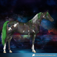 Horse Color:Watercolor White Spotted Midnight Sable Champagne Onyx Tobiano 