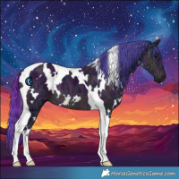Horse Color:Watercolor White Spotted Midnight Brown Ice Tobiano 
