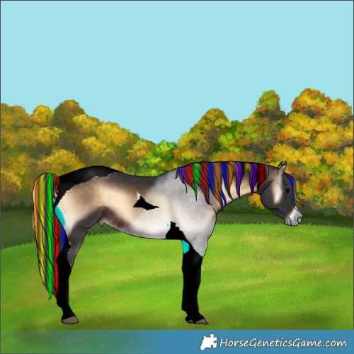 Horse Color:Painted Brown Onyx Tobiano 