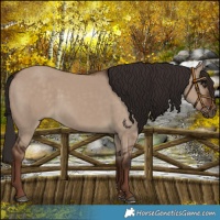 Horse Color:Liver Red Dun Rabicano