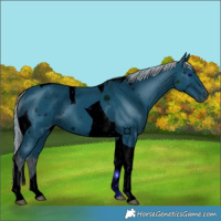 Horse Color:ERROR: UNKNOWN ANOMALY