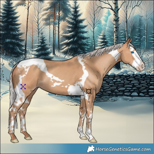 Horse Color:Silver Classic Champagne Splash Tobiano 