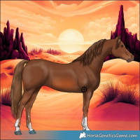 Horse Color:Chestnut Tobiano