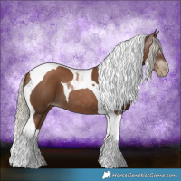 Horse Color:Gray Silver Black Pearl Tobiano