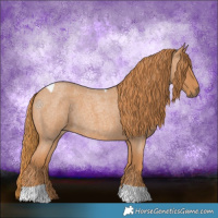 Horse Color:Red Roan Tobiano 