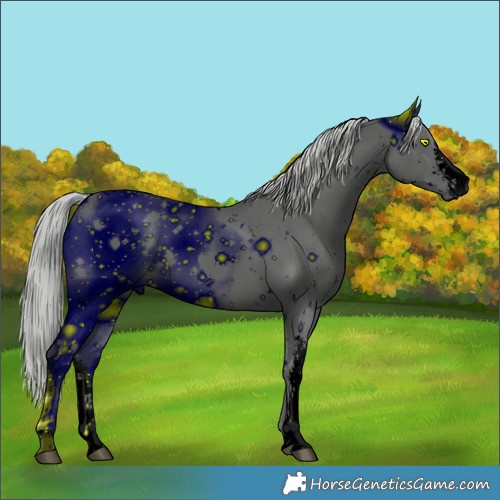 Horse Color:ERROR: UNKNOWN ANOMALY