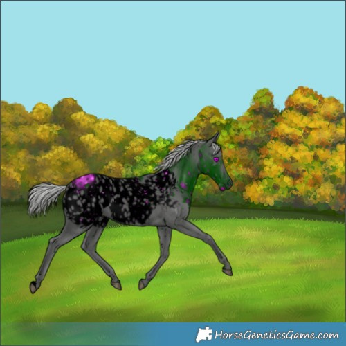 Horse Color:ERROR: UNKNOWN ANOMALY