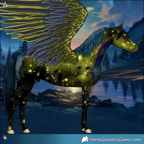 Horse Color:ERROR: UNKNOWN ANOMALY