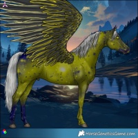 Horse Color:ERROR: UNKNOWN ANOMALY