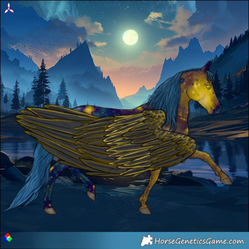 Horse Color:ERROR: UNKNOWN ANOMALY