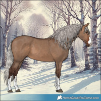 Horse Color:Silver Brown Dun 
