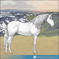 Horse Color:Cremello Roan Dun Splash Tobiano Frame Appaloosa Rabicano 