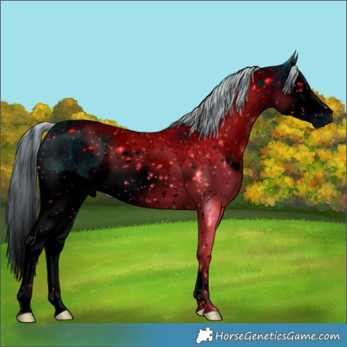 Horse Color:ERROR: UNKNOWN ANOMALY