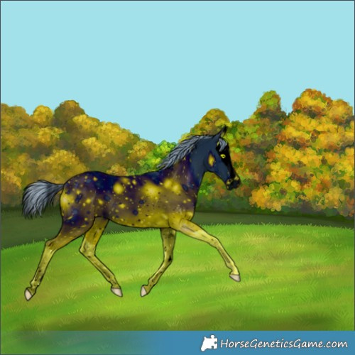 Horse Color:ERROR: UNKNOWN ANOMALY