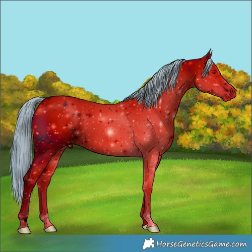 Horse Color:ERROR: UNKNOWN ANOMALY