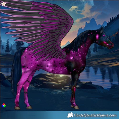 Horse Color:ERROR: UNKNOWN ANOMALY