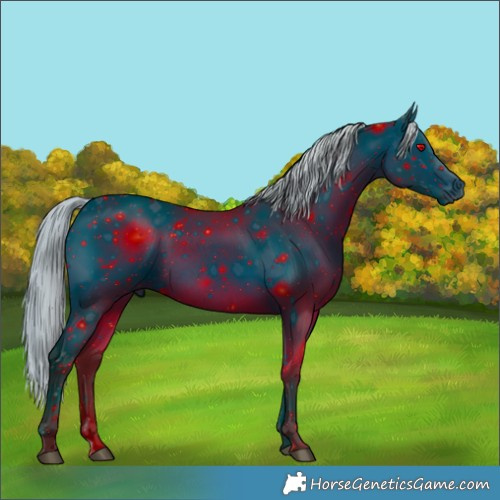 Horse Color:ERROR: UNKNOWN ANOMALY