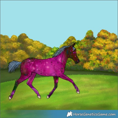Horse Color:ERROR: UNKNOWN ANOMALY