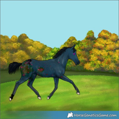 Horse Color:ERROR: UNKNOWN ANOMALY