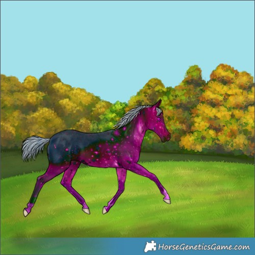 Horse Color:ERROR: UNKNOWN ANOMALY