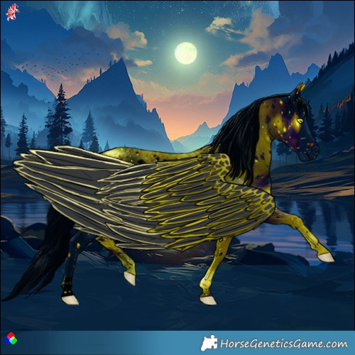 Horse Color:ERROR: UNKNOWN ANOMALY