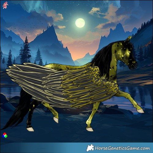 Horse Color:ERROR: UNKNOWN ANOMALY