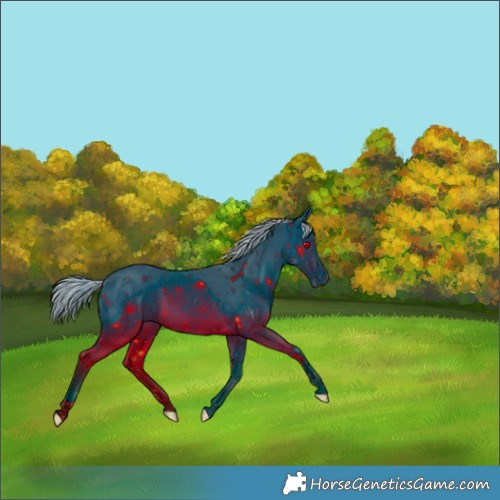 Horse Color:ERROR: UNKNOWN ANOMALY