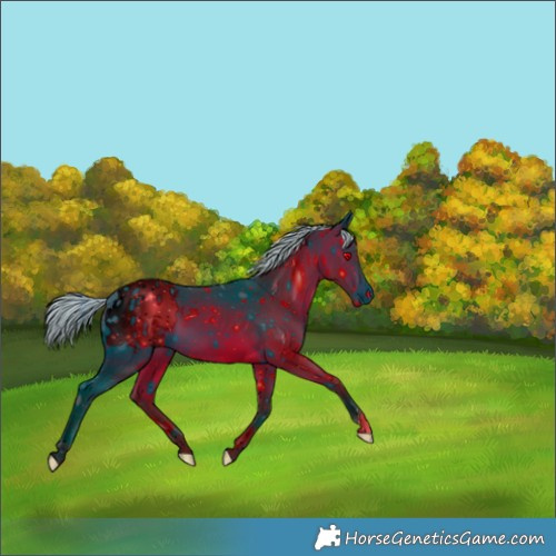 Horse Color:ERROR: UNKNOWN ANOMALY