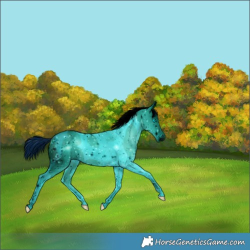 Horse Color:ERROR: UNKNOWN ANOMALY