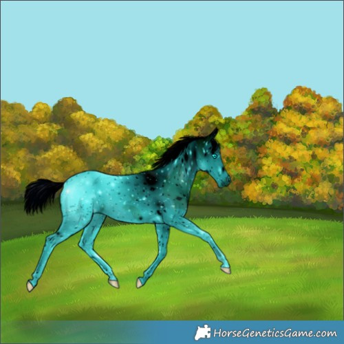 Horse Color:ERROR: UNKNOWN ANOMALY